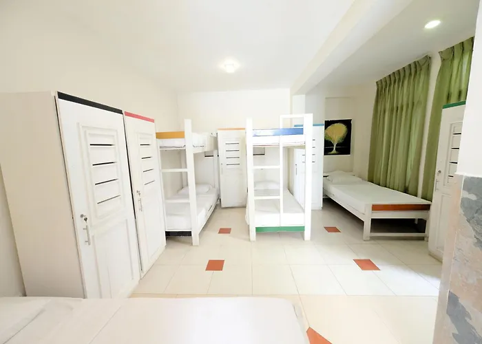 The Youth Hostel - It'S A Youth Fame